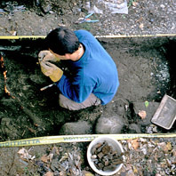 fouilles en bordure ouest de la maison LePailleur